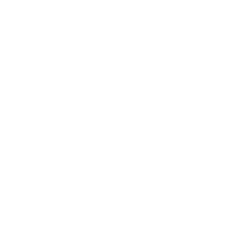 SEO para psicólogos