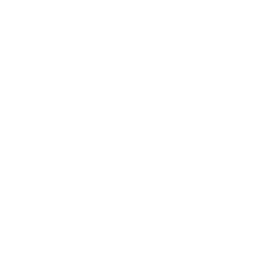 seo para fisioterapeutas